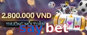 saybet